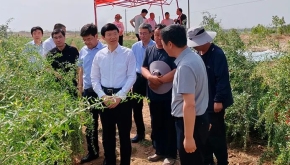 国家药监局党组书记、局长李利在宁夏调研中药监管和质量提升工作
