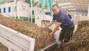 【中医药助力乡村振兴】重庆垫江：变草为宝种出致富路