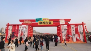 药韵迎新春｜安徽中医药非遗技艺展与非遗巡游鱼灯流光示交相辉映