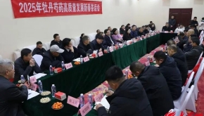 共话牡丹产业发展 菏泽市召开2025年牡丹芍药高质量发展新年茶话会