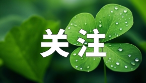 湖北省长李殿勋调研中医药产业：强化药理与标准建设，加速开拓全球市场
