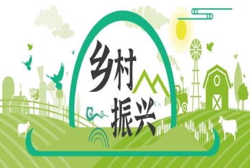 【中医药助力乡村振兴】吉林安图：林海掘“金参”，走出振兴路