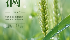 二十四节气之小满|小得盈满，收获可期